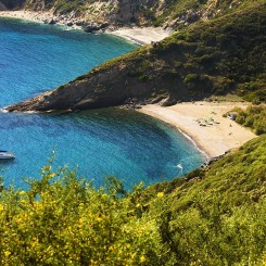 Tenuta delle Ripalte