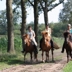 Camping Borken am See