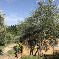 Agricamping Romita