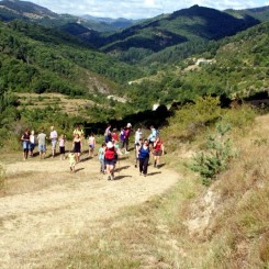 Camping l'Ardéchois